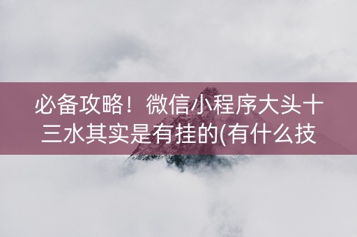 必备攻略！微信小程序大头十三水其实是有挂的(有什么技巧)