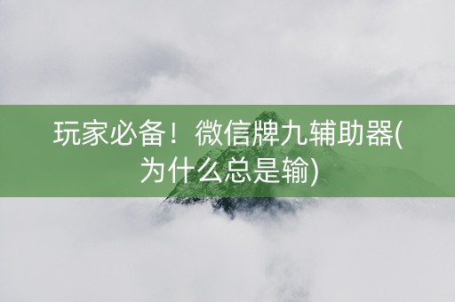 玩家必备！微信牌九辅助器(为什么总是输)