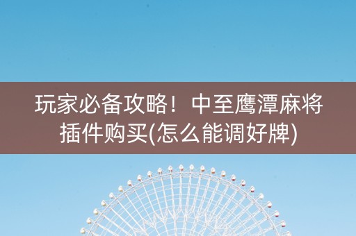 玩家必备攻略！中至鹰潭麻将插件购买(怎么能调好牌)