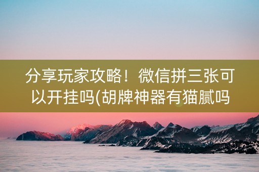 分享玩家攻略！微信拼三张可以开挂吗(胡牌神器有猫腻吗)