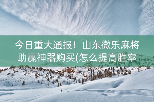 今日重大通报！山东微乐麻将助赢神器购买(怎么提高胜率)