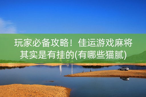 玩家必备攻略！佳运游戏麻将其实是有挂的(有哪些猫腻)