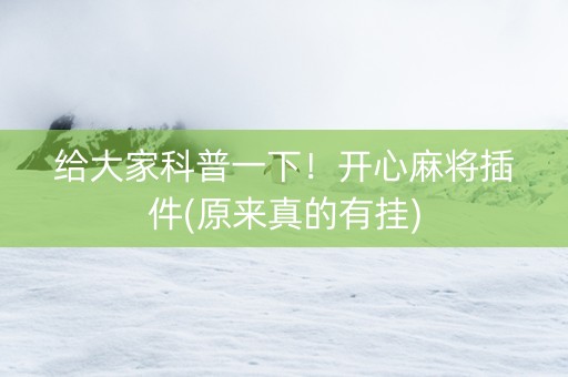 给大家科普一下！开心麻将插件(原来真的有挂)