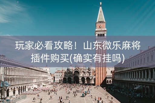玩家必看攻略！山东微乐麻将插件购买(确实有挂吗)