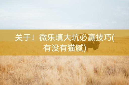 关于！微乐填大坑必赢技巧(有没有猫腻)