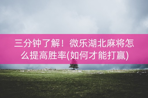 三分钟了解！微乐湖北麻将怎么提高胜率(如何才能打赢)