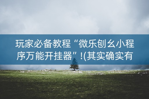 玩家必备教程“微乐刨幺小程序万能开挂器”!(其实确实有挂)-知乎