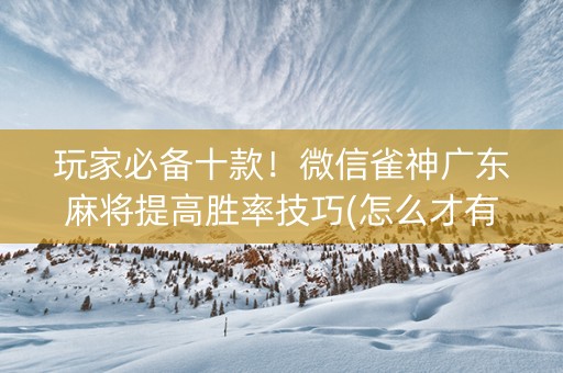 玩家必备十款！微信雀神广东麻将提高胜率技巧(怎么才有赢的几率)