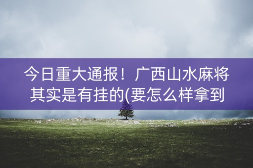 今日重大通报！广西山水麻将其实是有挂的(要怎么样拿到好牌)