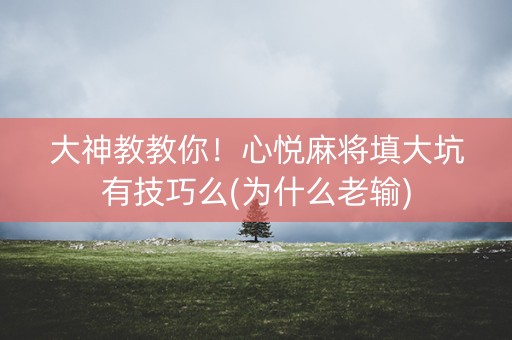 大神教教你！心悦麻将填大坑有技巧么(为什么老输)