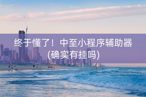 终于懂了！中至小程序辅助器(确实有挂吗)