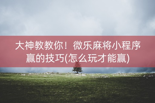 大神教教你！微乐麻将小程序赢的技巧(怎么玩才能赢)