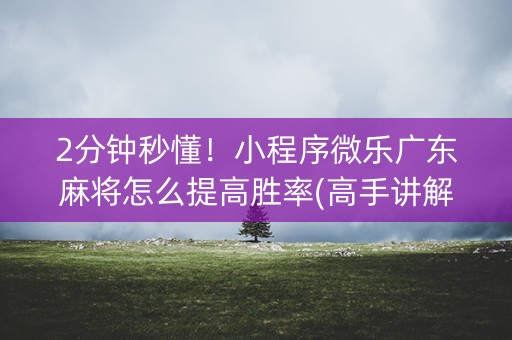 2分钟秒懂！小程序微乐广东麻将怎么提高胜率(高手讲解技术)