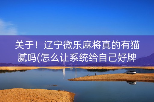 关于！辽宁微乐麻将真的有猫腻吗(怎么让系统给自己好牌)