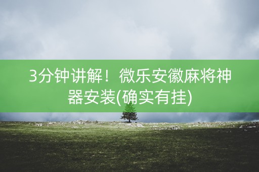 3分钟讲解！微乐安徽麻将神器安装(确实有挂)