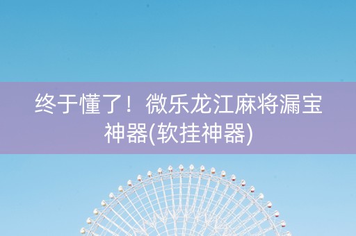 终于懂了！微乐龙江麻将漏宝神器(软挂神器)