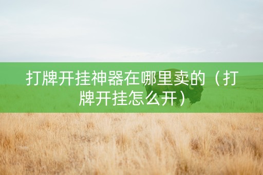 打牌开挂神器在哪里卖的（打牌开挂怎么开）
