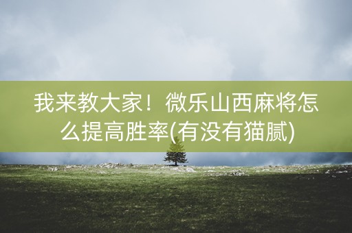 我来教大家！微乐山西麻将怎么提高胜率(有没有猫腻)