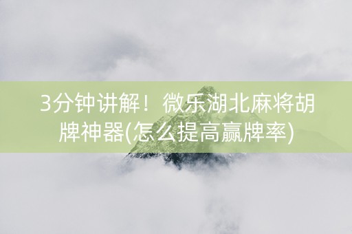 3分钟讲解！微乐湖北麻将胡牌神器(怎么提高赢牌率)
