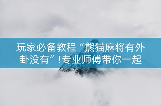 玩家必备教程“熊猫麻将有外卦没有”!专业师傅带你一起了解（详细教程）-知乎