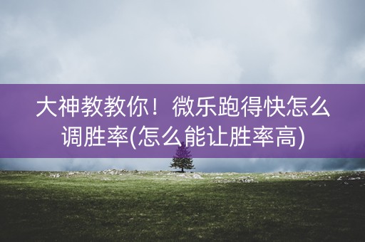 大神教教你！微乐跑得快怎么调胜率(怎么能让胜率高)