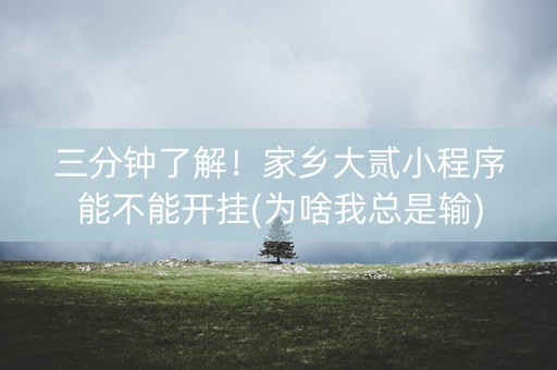 三分钟了解！家乡大贰小程序能不能开挂(为啥我总是输)
