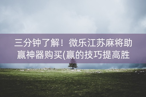 三分钟了解！微乐江苏麻将助赢神器购买(赢的技巧提高胜率)