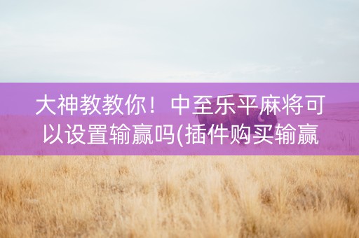 大神教教你！中至乐平麻将可以设置输赢吗(插件购买输赢规律)