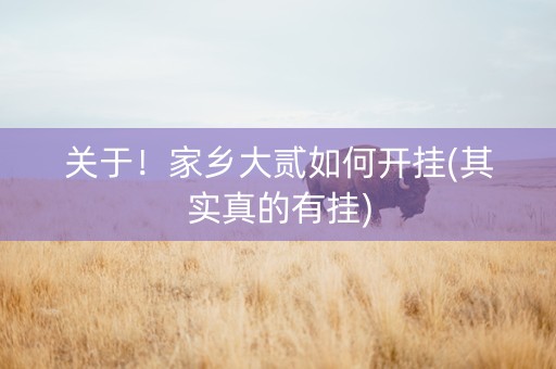 关于！家乡大贰如何开挂(其实真的有挂)