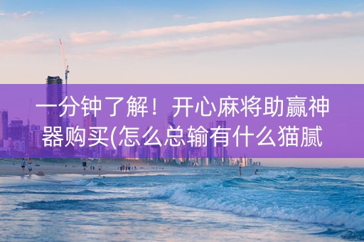 一分钟了解！开心麻将助赢神器购买(怎么总输有什么猫腻)