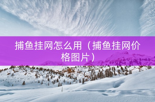 捕鱼挂网怎么用（捕鱼挂网价格图片）