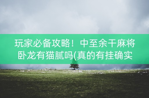 玩家必备攻略！中至余干麻将卧龙有猫腻吗(真的有挂确实有挂)