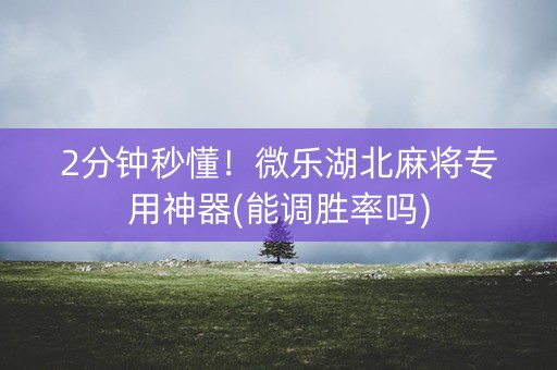 2分钟秒懂！微乐湖北麻将专用神器(能调胜率吗)