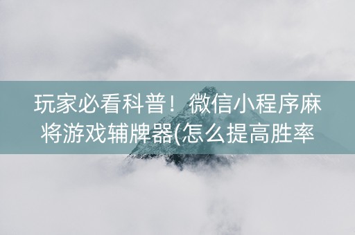 玩家必看科普！微信小程序麻将游戏辅牌器(怎么提高胜率)
