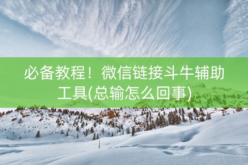 必备教程！微信链接斗牛辅助工具(总输怎么回事)