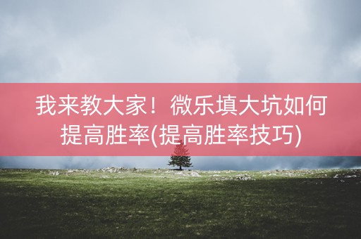 我来教大家！微乐填大坑如何提高胜率(提高胜率技巧)