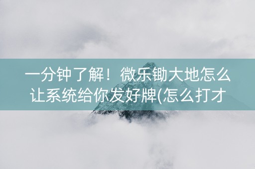 一分钟了解！微乐锄大地怎么让系统给你发好牌(怎么打才赢)