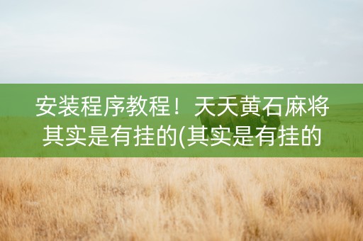 安装程序教程！天天黄石麻将其实是有挂的(其实是有挂的)