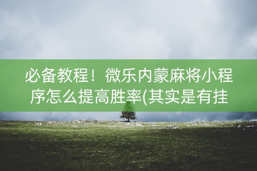 必备教程！微乐内蒙麻将小程序怎么提高胜率(其实是有挂确实有挂)