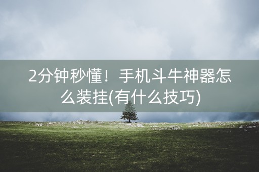 2分钟秒懂！手机斗牛神器怎么装挂(有什么技巧)
