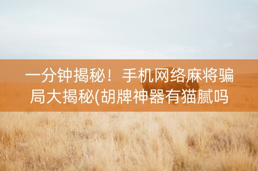 一分钟揭秘！手机网络麻将骗局大揭秘(胡牌神器有猫腻吗)