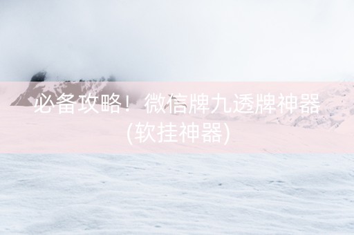 必备攻略！微信牌九透牌神器(软挂神器)