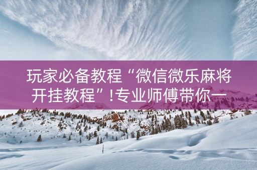 玩家必备教程“微信微乐麻将开挂教程”!专业师傅带你一起了解（详细教程）-知乎
