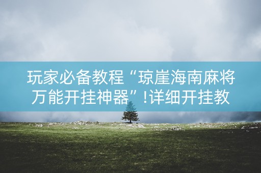玩家必备教程“琼崖海南麻将万能开挂神器”!详细开挂教程-知乎