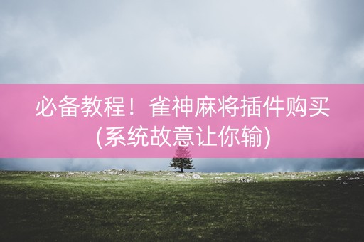 必备教程！雀神麻将插件购买(系统故意让你输)
