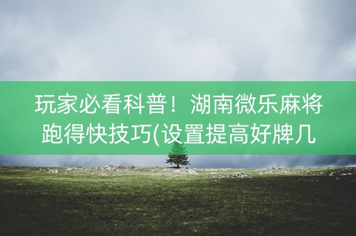玩家必看科普！湖南微乐麻将跑得快技巧(设置提高好牌几率)