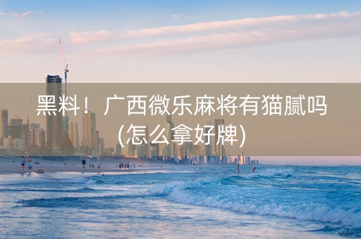 黑料！广西微乐麻将有猫腻吗(怎么拿好牌)