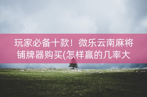 玩家必备十款！微乐云南麻将铺牌器购买(怎样赢的几率大)