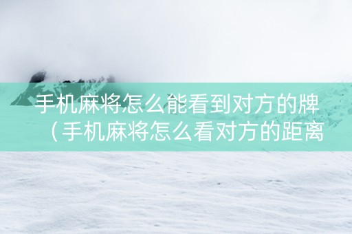 手机麻将怎么能看到对方的牌（手机麻将怎么看对方的距离）