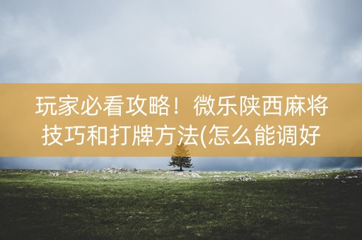 玩家必看攻略！微乐陕西麻将技巧和打牌方法(怎么能调好牌)